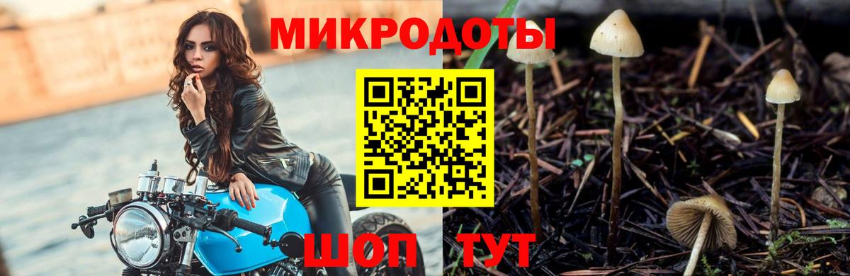 Галлюциногенные грибы Psilocybine cubensis  Вход с VPN  Галлюциногенные грибы Psilocybe  Добрянка 